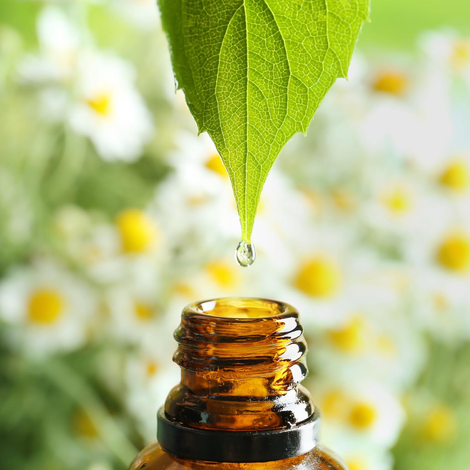 Aromathérapie pharmacie du moustier